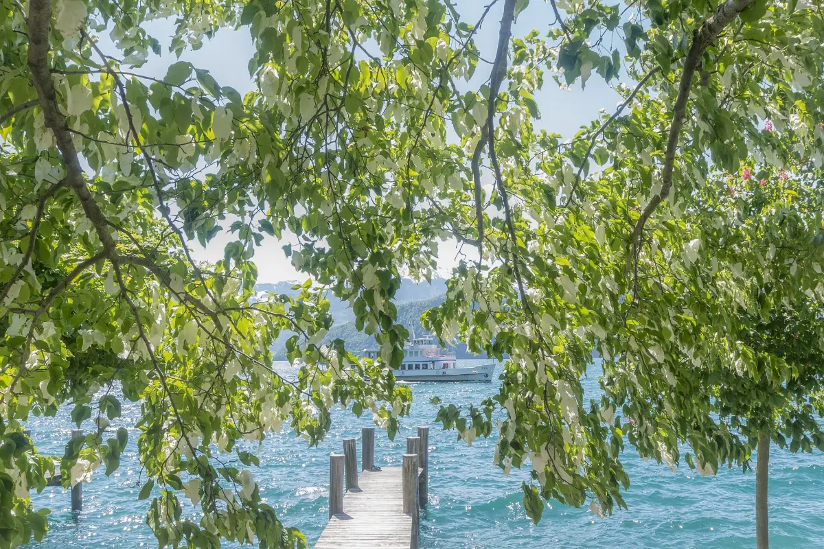 Wooden pier at Weggis on Lake Lucerne with a scheduled boat crossing in the background