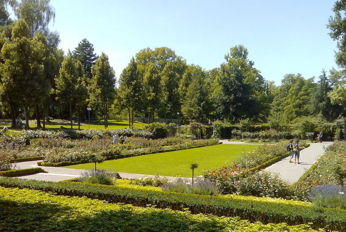Flower beds, lawn and walking paths in Bern Rosengarten
