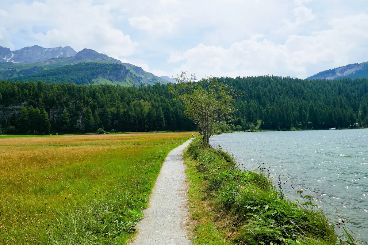 Summer trail beside Lake Sils in the Engadin