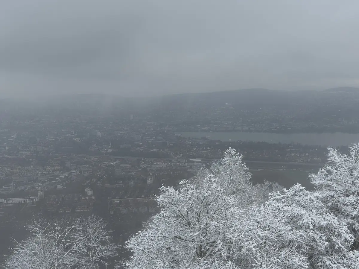 Panoramic winter view of Zurich and Lake Zurich from Uetliberg
