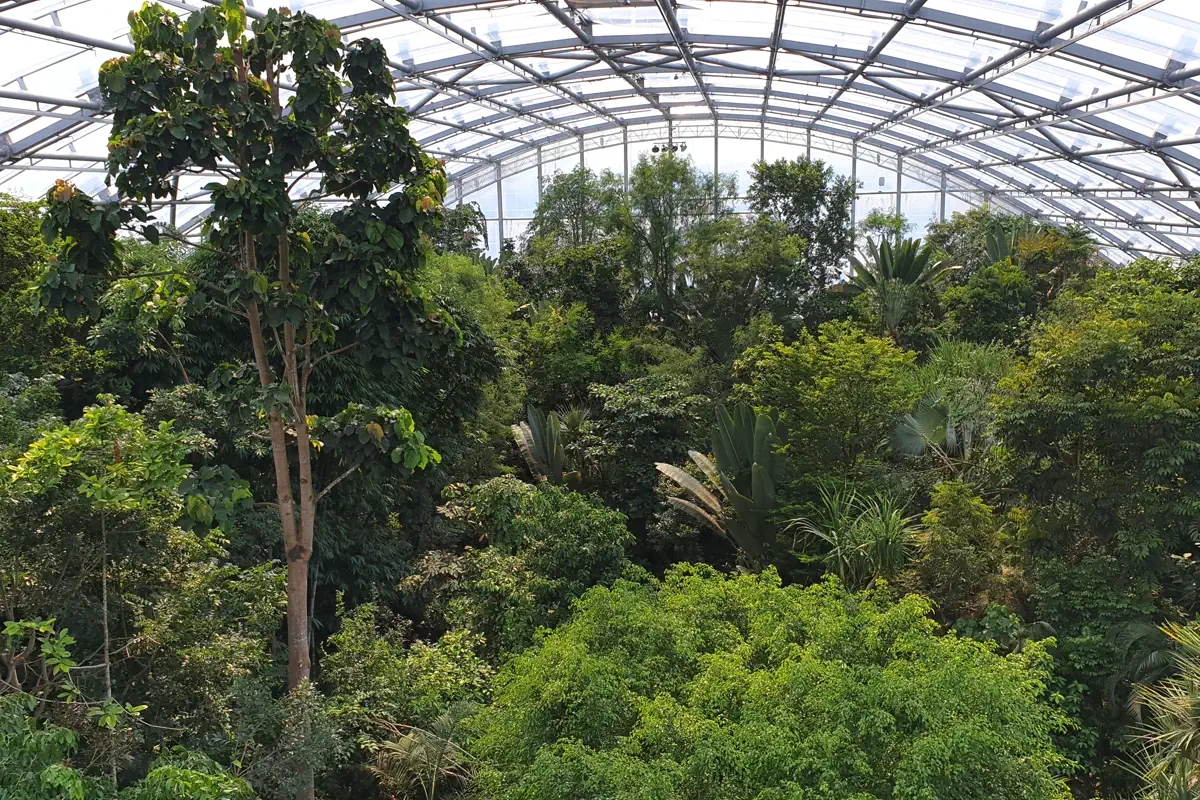 Masoala rainforest hall at Zoo Zurich, open every Monday